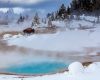 Wildlife photography of a bull bison and blue hot spring in Winter with fog, snow and trees