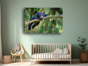 Hanging Out - Wildlife Photography Lumachrome Print by Cindy Goeddel