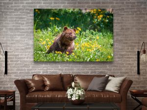 Beauty and the Beast - Wildlife Photography Lumachrome Print by Cindy Goeddel