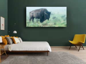 Bison in the Mist - Wildlife Photography Lumachrome Print by Cindy Goeddel