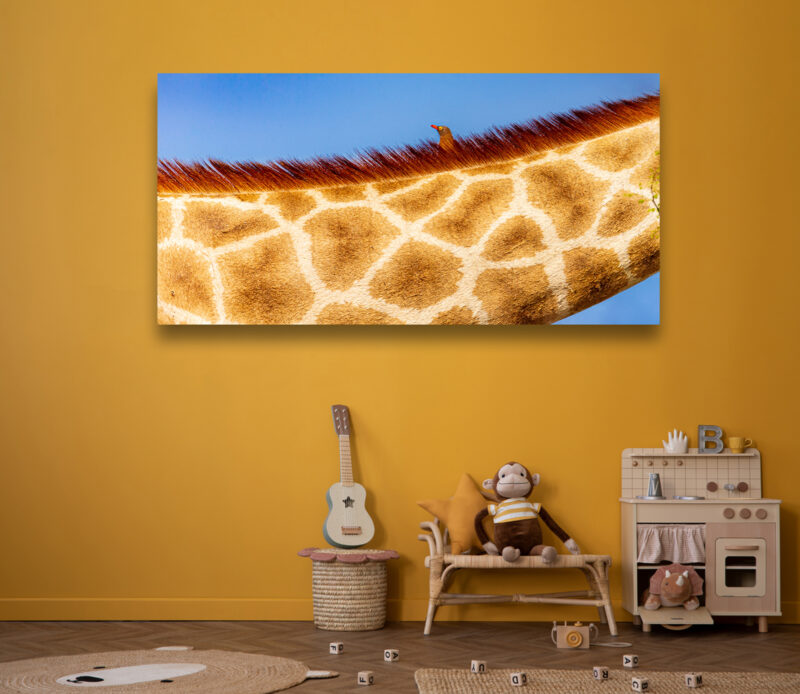 Neck With A View - Wildlife Photography Lumachrome Print by Cindy Goeddel
