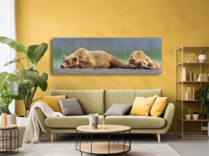 Coastal Brown Bears Napping - Wildlife Photography Lumachrome Print by Cindy Goeddel