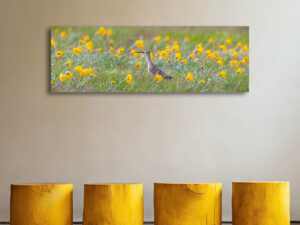 Looking to Spring - Wildlife Photography Lumachrome Print by Cindy Goeddel