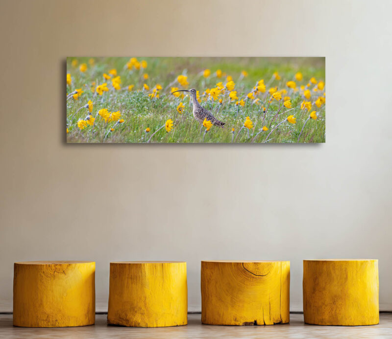 Looking to Spring - Wildlife Photography Lumachrome Print by Cindy Goeddel