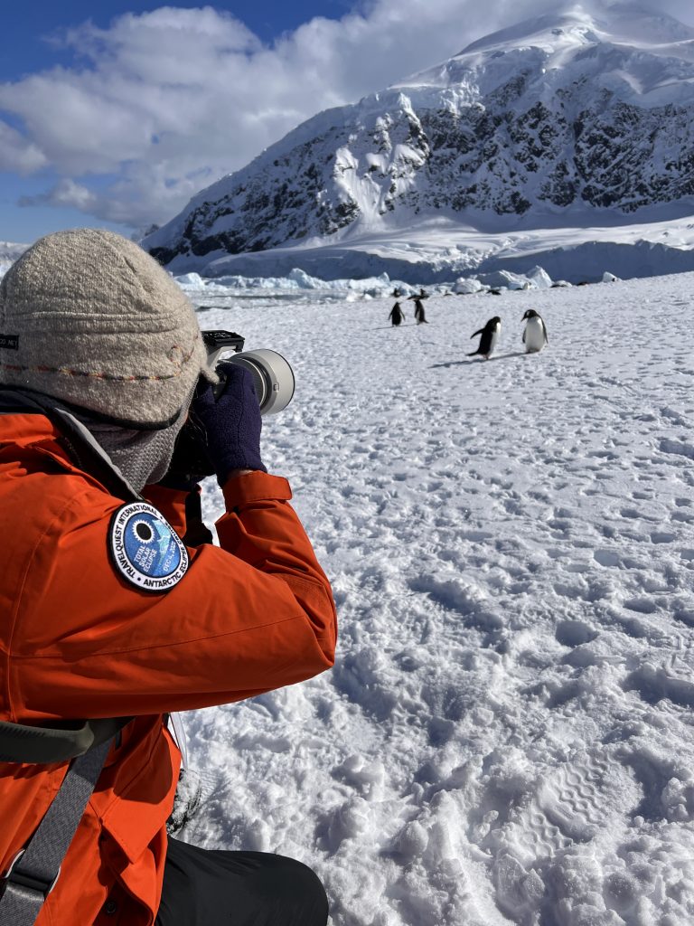 Photographer  taking photo of two penguins with Antarctica snowy mountain in the background.