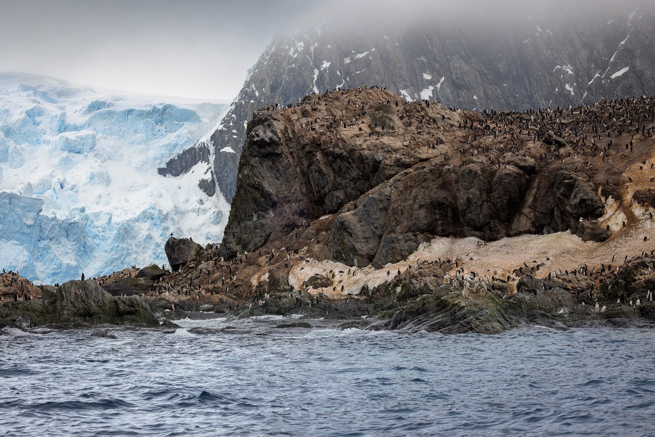 Follow Cindy Goeddel as she describes seeing walls of rock, ice, Chinstrap Penguins and more when visiting Elephant Island.