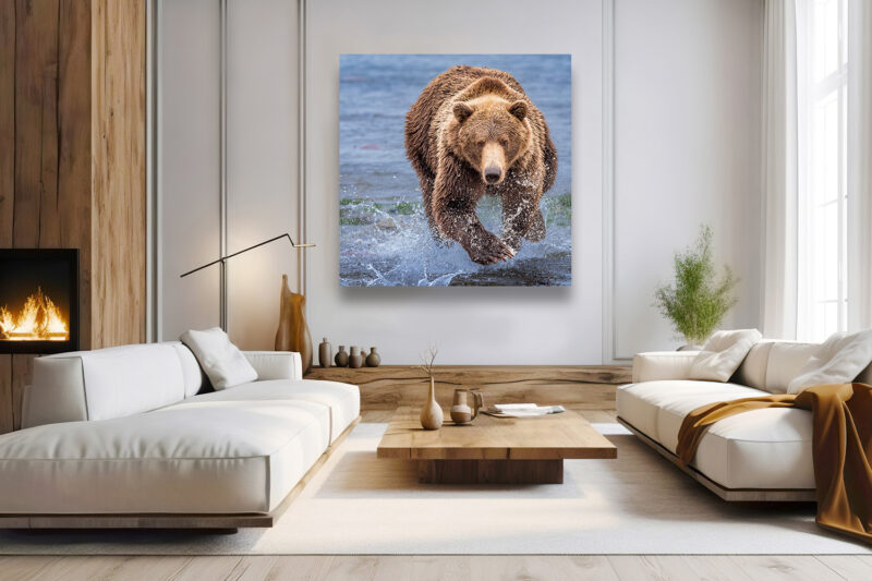 A Bear Runs Through it - Wildlife Photography Lumachrome Print by Cindy Goeddel