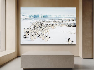 Hundreds of Adélie penguins march across the icy Antarctic landscape toward the photographer, with the Southern Ocean and a towering glacier wall in the background.