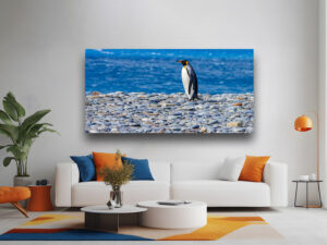 A solitary King Penguin standing on a shore of smooth cobblestones with the ocean in the background, featured in a fine art limited edition gallery.