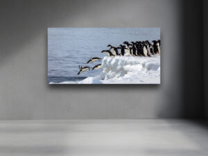 A group of Adélie penguins perched on an ice platform, some leaping into icy Antarctic waters while others await their turn..