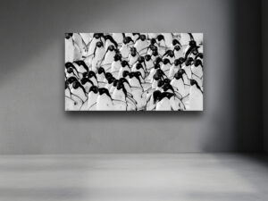 A black-and-white photograph of dozens of Adélie penguins marching forward, their bold black and white patterns forming a near-abstract visual tapestry.