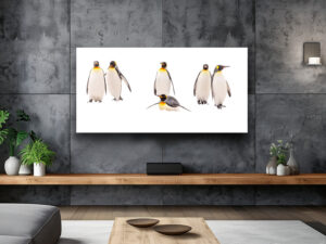 A high key photograph of king penguins in the snow, their golden collars contrasting beautifully with the white surroundings, exuding elegance and serenity.