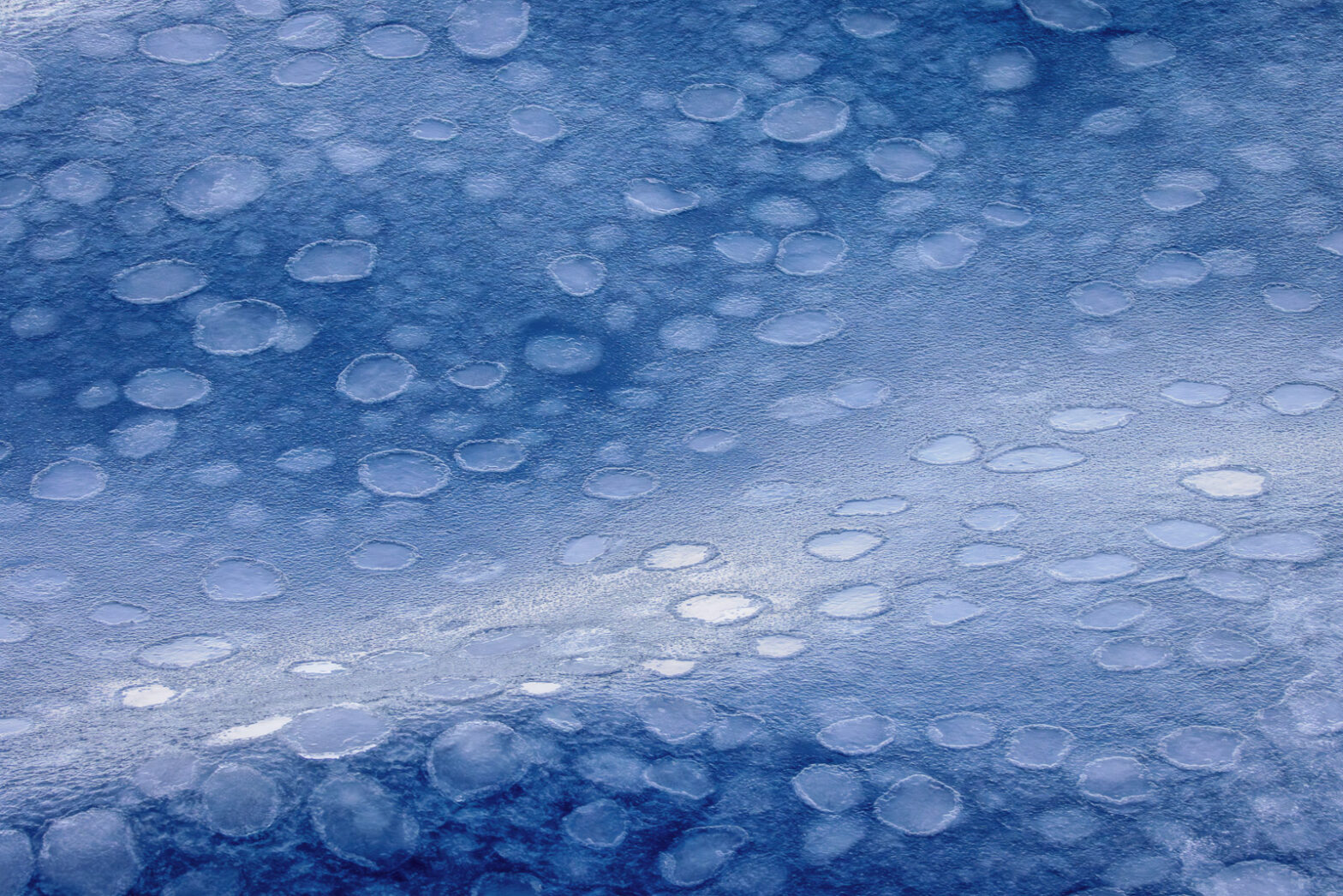 Southern Ocean Pancake Ice – Nature’s Abstract Art