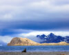 Antarctic Fur Seal and Iceberg – A Wild South Georgia Scene