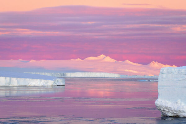 Antarctic Sunrise – Icebergs in a Blush of Light