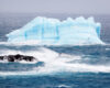 Wildlife photography of an iceberg in the Antarctica ocean with a single Imperial Shag flying above the waves.