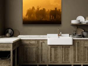 Horses of the Pantanal