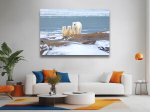 Their Turn on the Rocks