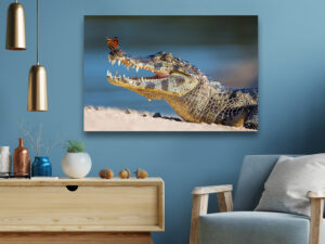 Side-view, eye-level image of a spectacled caiman with its mouth open and rows of teeth visible, as a butterfly rests on the tip of its snout.
